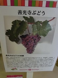 イメージ 7