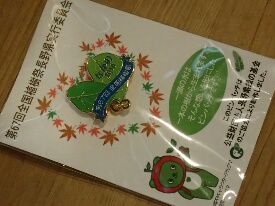 イメージ 13