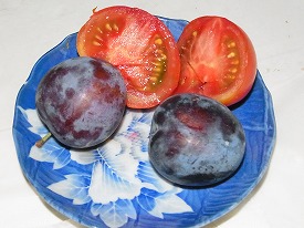 イメージ 57