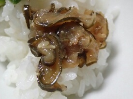 イメージ 59
