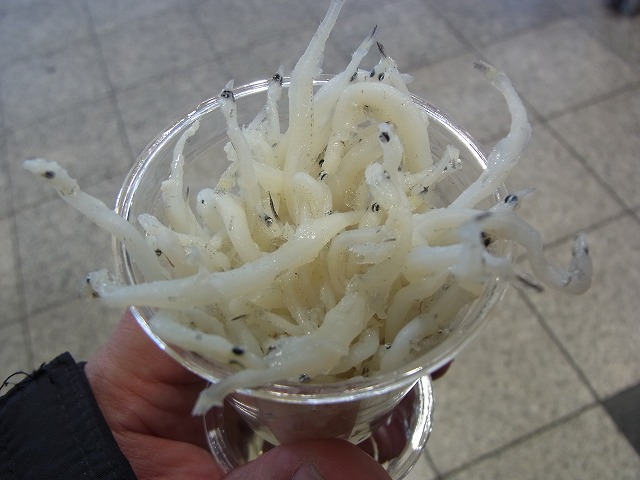 イメージ 13