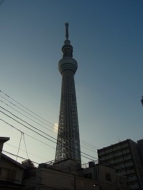 イメージ 25
