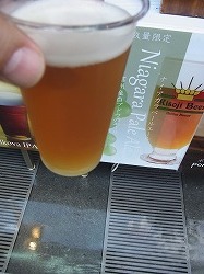 イメージ 14