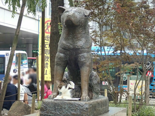 イメージ 5