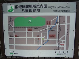 イメージ 12