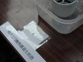 イメージ 5