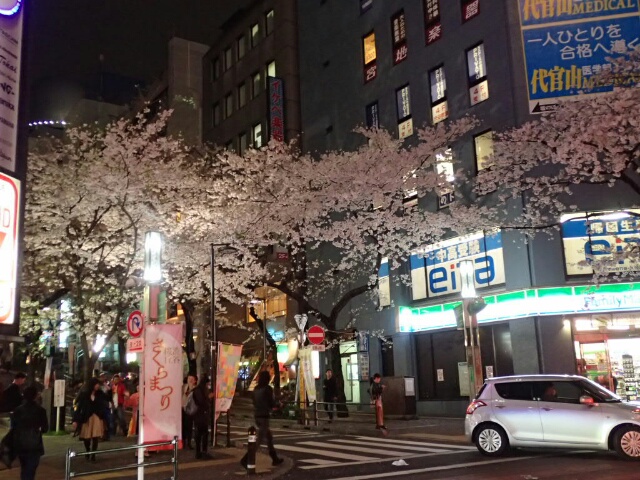 イメージ 41
