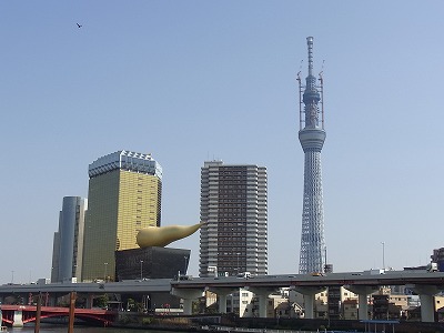 イメージ 8