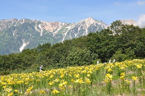 イメージ 12