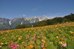 イメージ 7