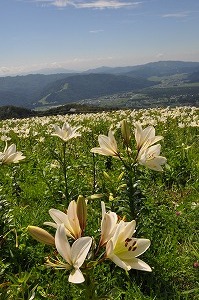 イメージ 8