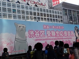 イメージ 20