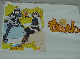 イメージ 10