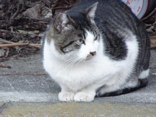 イメージ 38