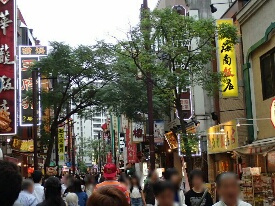 イメージ 6