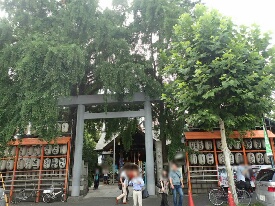 イメージ 54