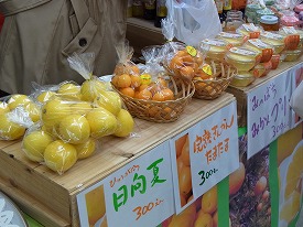 イメージ 36