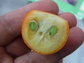 イメージ 37
