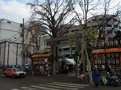 イメージ 14
