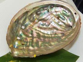イメージ 8