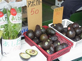イメージ 37