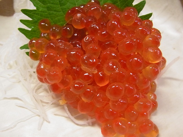 イメージ 7