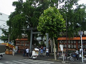 イメージ 46