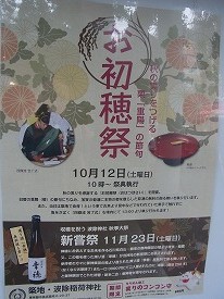 イメージ 33