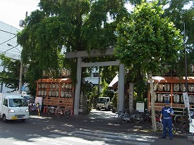 イメージ 6