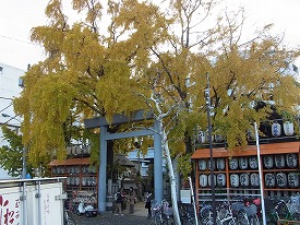 イメージ 17