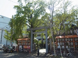 イメージ 28