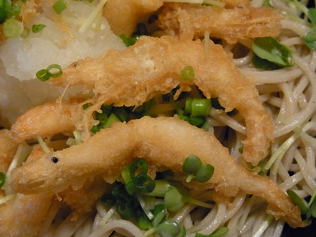 イメージ 50