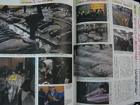 イメージ 65