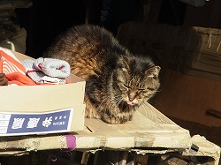 イメージ 21