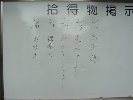 イメージ 5