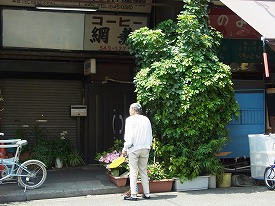 イメージ 15