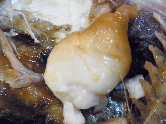 イメージ 14