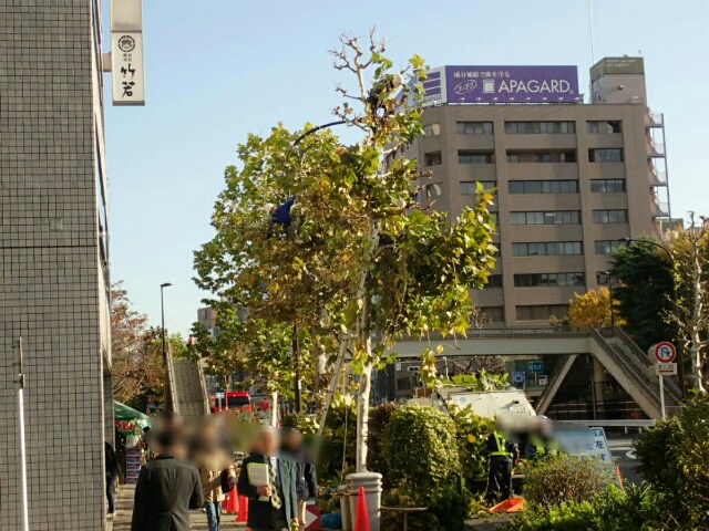 イメージ 62