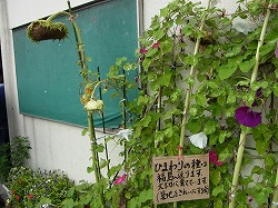イメージ 10
