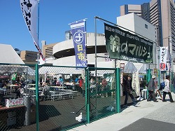 イメージ 5
