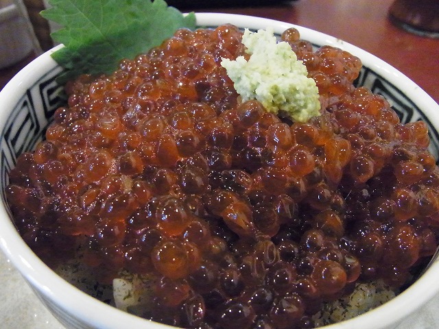 イメージ 13