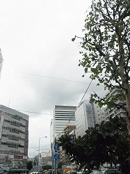 イメージ 16
