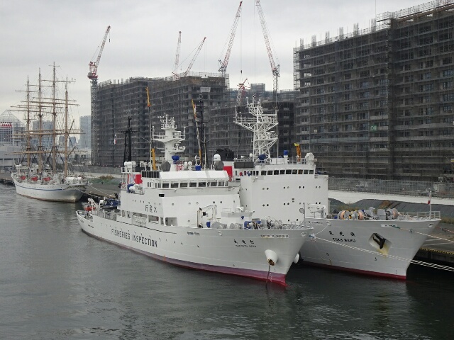 イメージ 68
