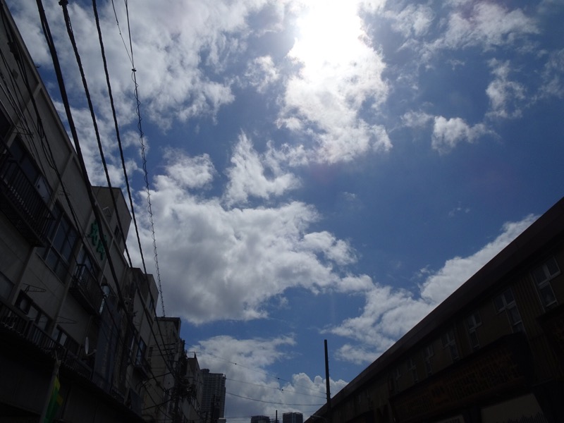 f:id:fromheartland:20190922185442j:plain f:id:fromheartland:20190922185442j:plain