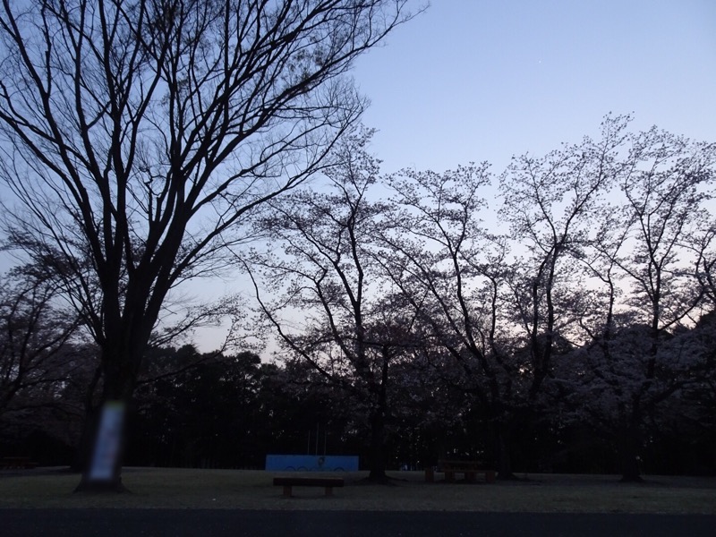 f:id:fromheartland:20200411130207j:plain