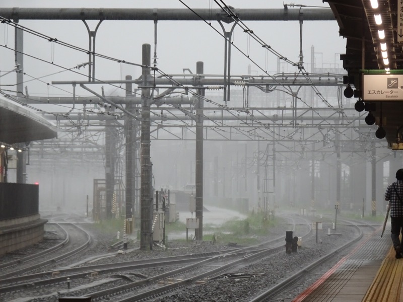 f:id:fromheartland:20210718224501j:plain