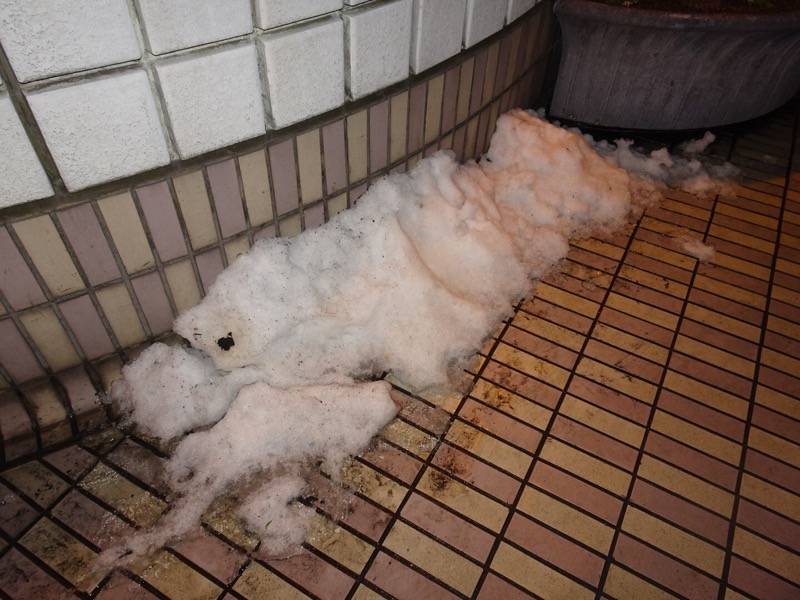 f:id:fromheartland:20220213070824j:plain