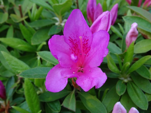 f:id:fromheartland:20250417022224j:image