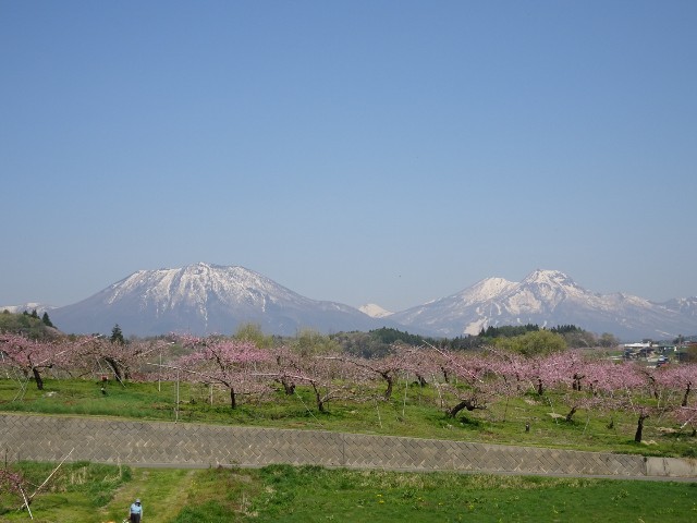 f:id:fromheartland:20250507045225j:image