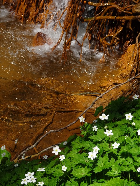 f:id:fromheartland:20250507060655j:image